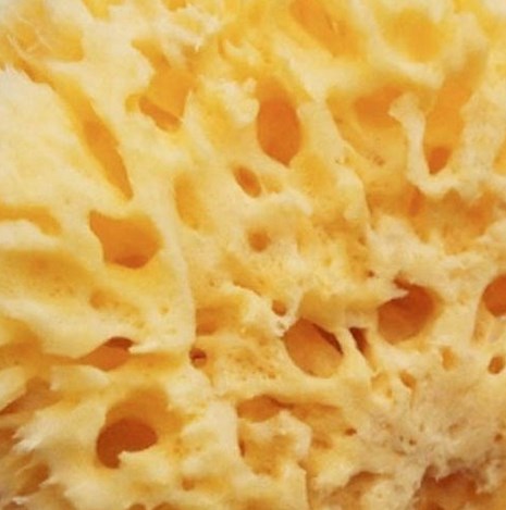 Paintingsponge, Tortenschwamm für Mal- und Tupftechniken - Kuchenwunder-Shop