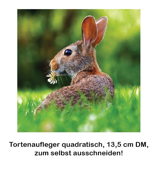 Tortenaufleger 13,5 cm DM, quadratisch - Ihr eigenes Foto/Motiv auf der Torte - Kuchenwunder-Shop